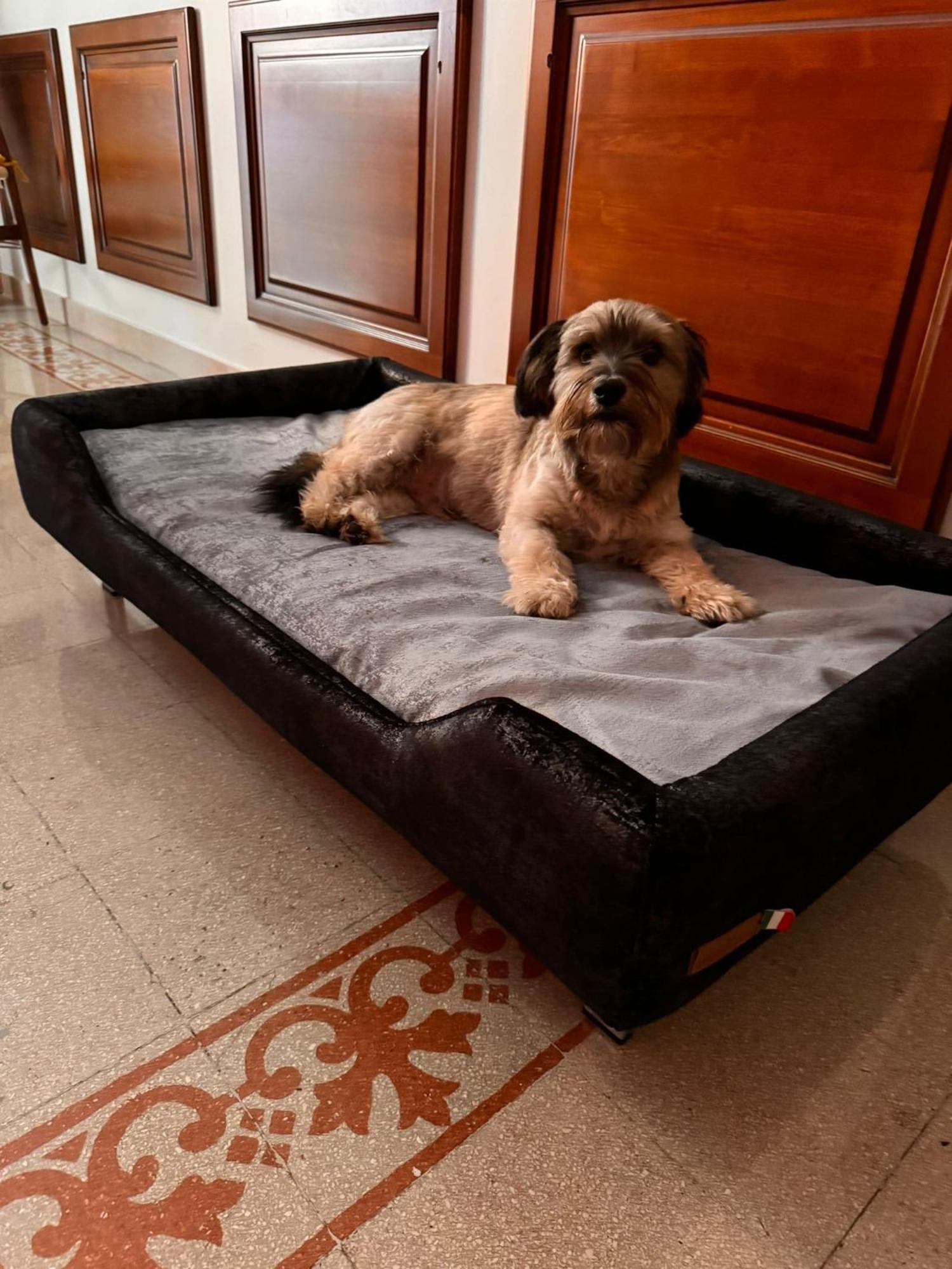 Giancarla Luxury In San Lorenzo - Termini